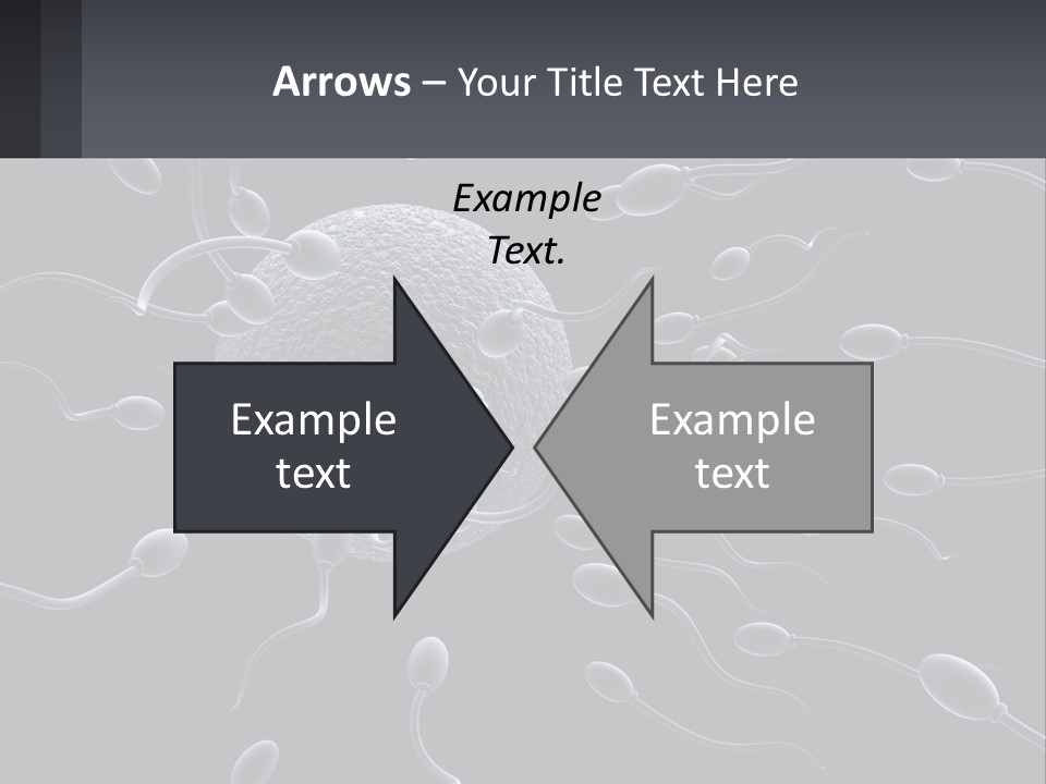 Mother Parent Coast PowerPoint Template
