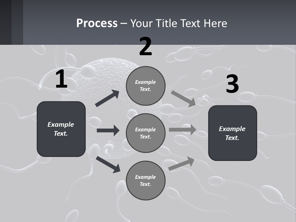 Mother Parent Coast PowerPoint Template