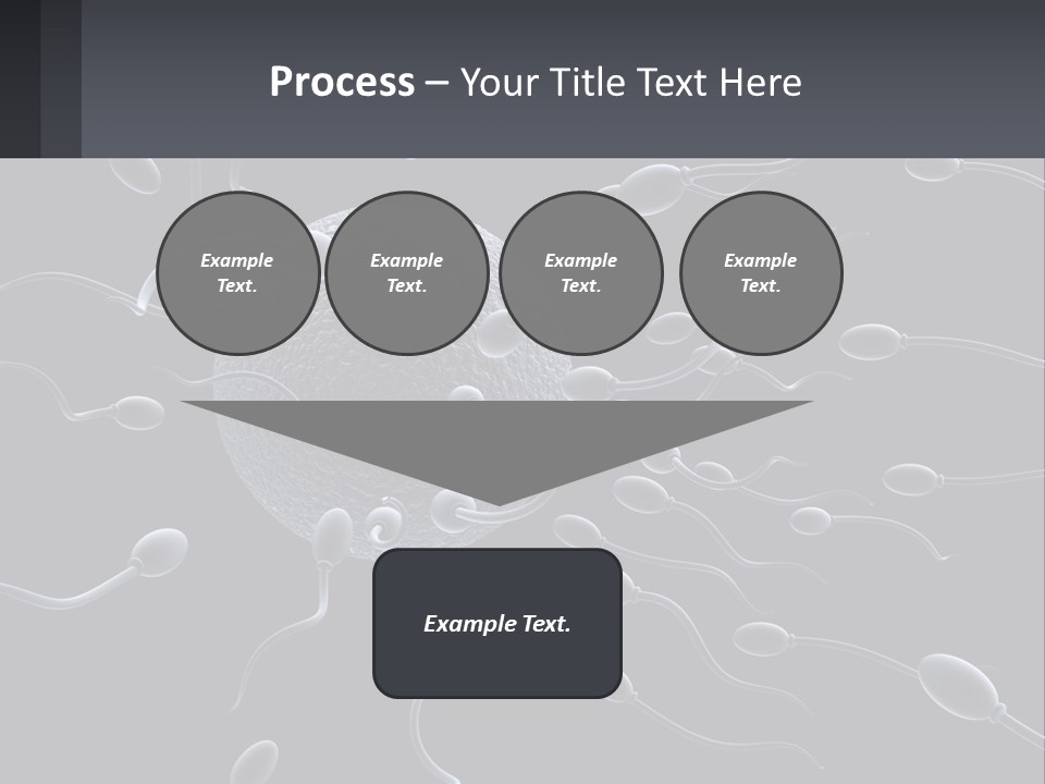 Mother Parent Coast PowerPoint Template