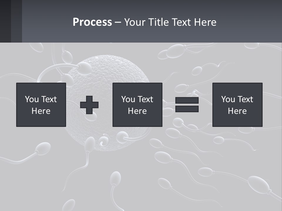 Mother Parent Coast PowerPoint Template
