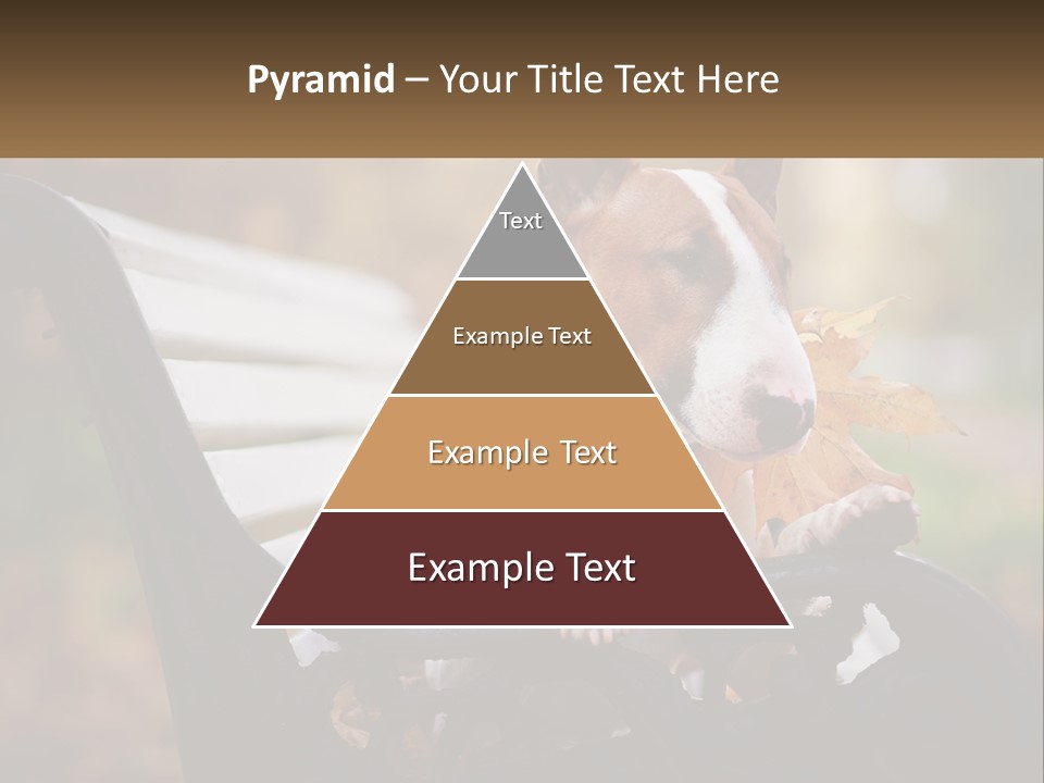 Caucasian Wave Parent PowerPoint Template