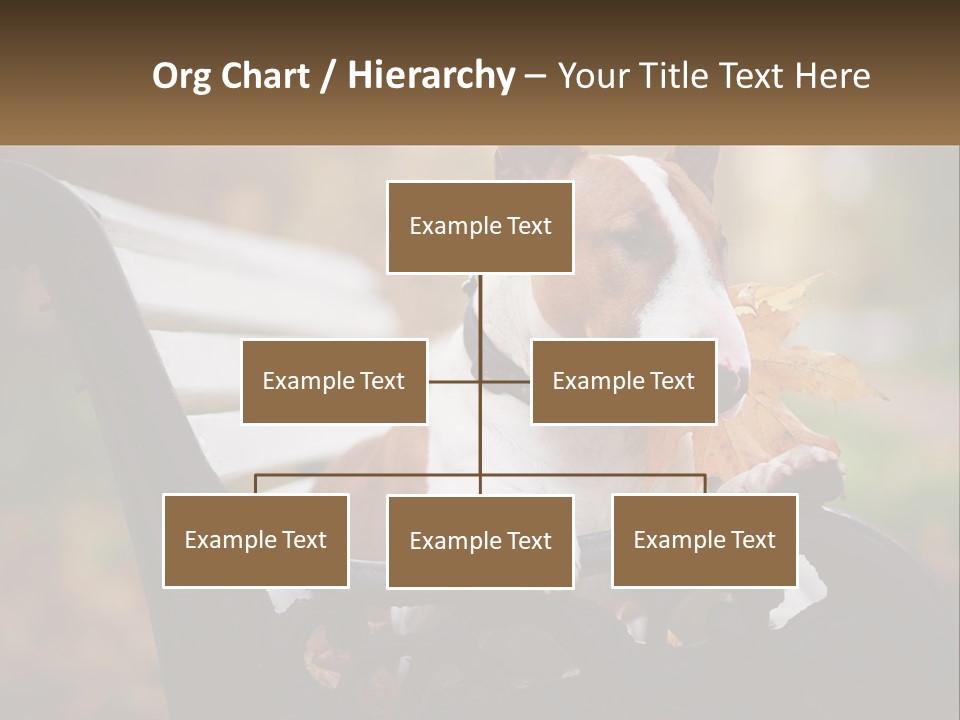 Caucasian Wave Parent PowerPoint Template