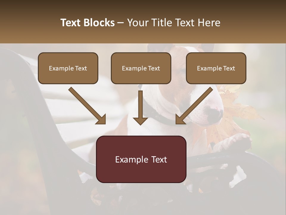Caucasian Wave Parent PowerPoint Template
