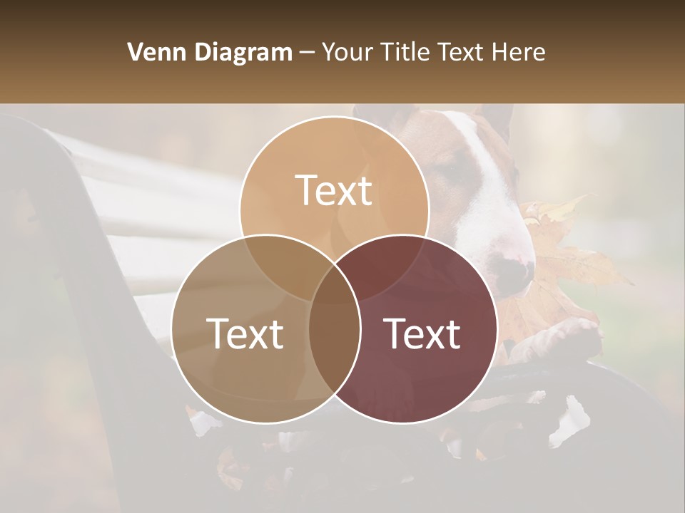 Caucasian Wave Parent PowerPoint Template