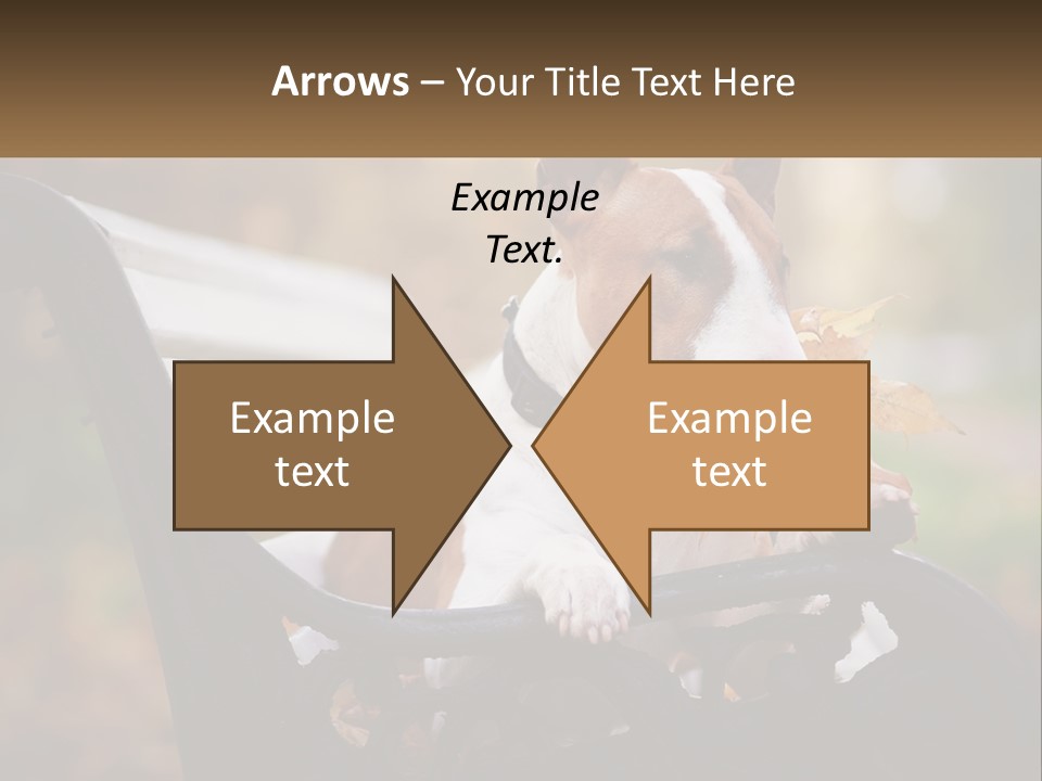Caucasian Wave Parent PowerPoint Template