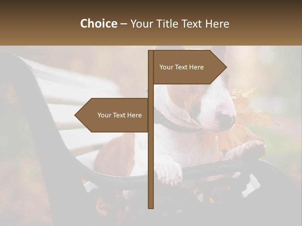 Caucasian Wave Parent PowerPoint Template