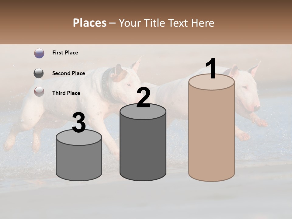 Life Sea Coast PowerPoint Template