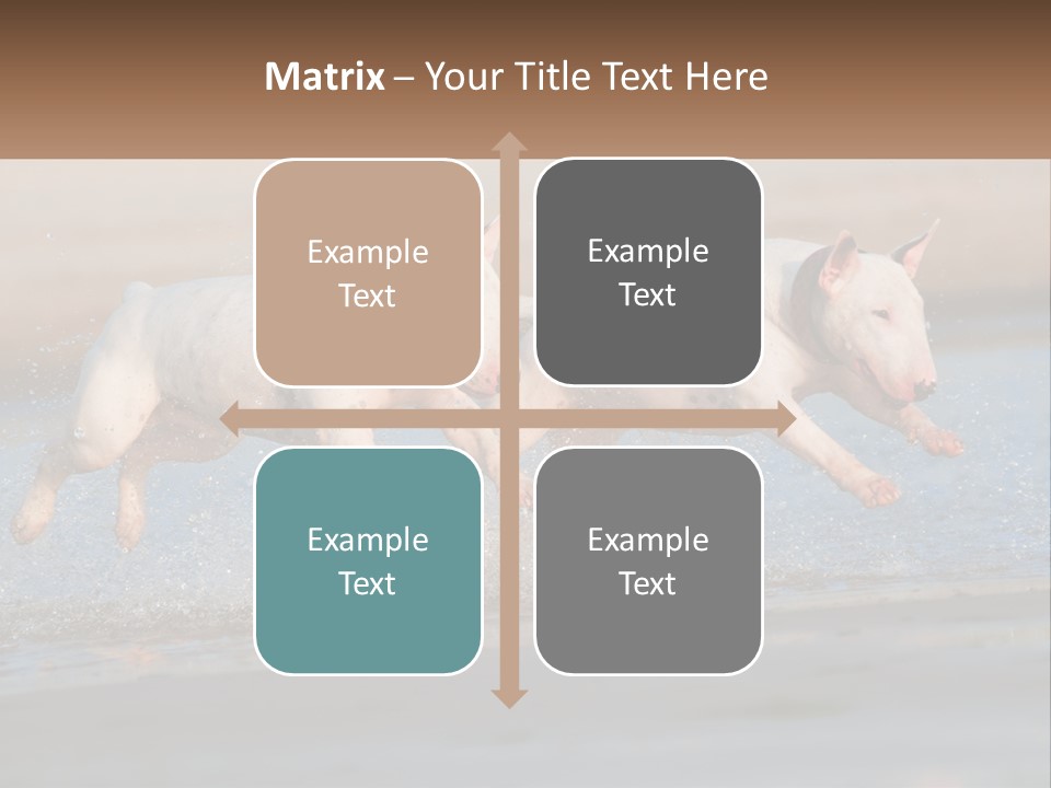 Life Sea Coast PowerPoint Template