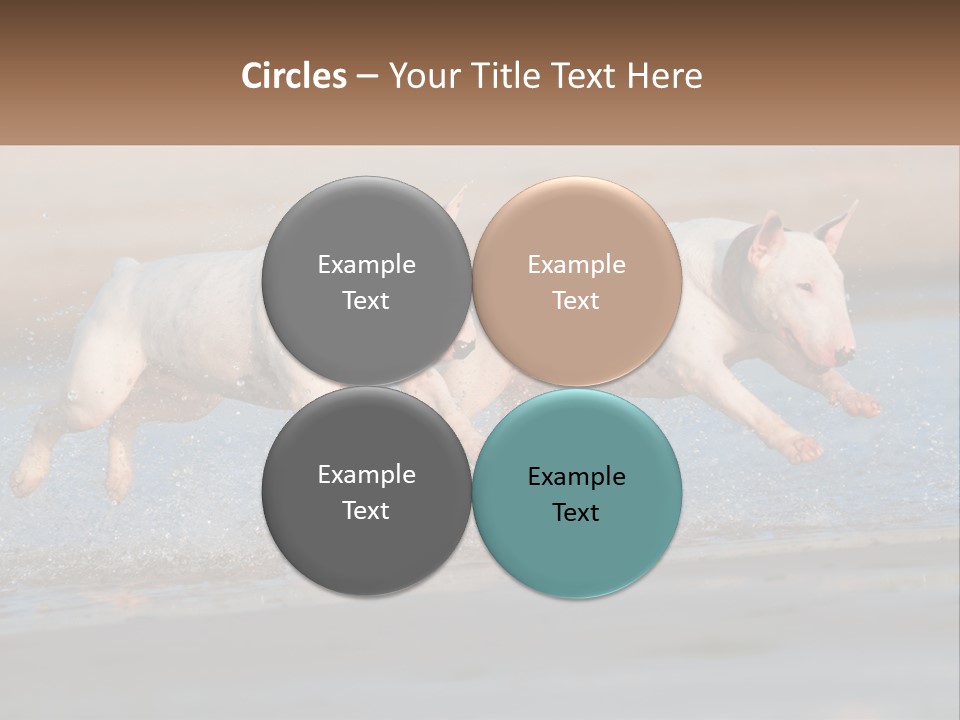 Life Sea Coast PowerPoint Template