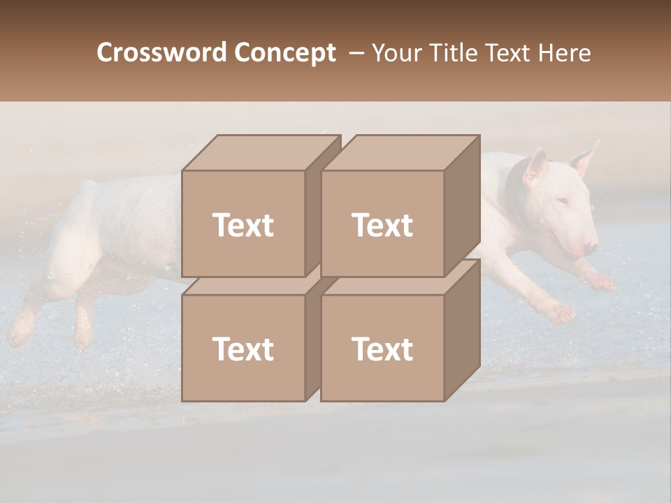 Life Sea Coast PowerPoint Template