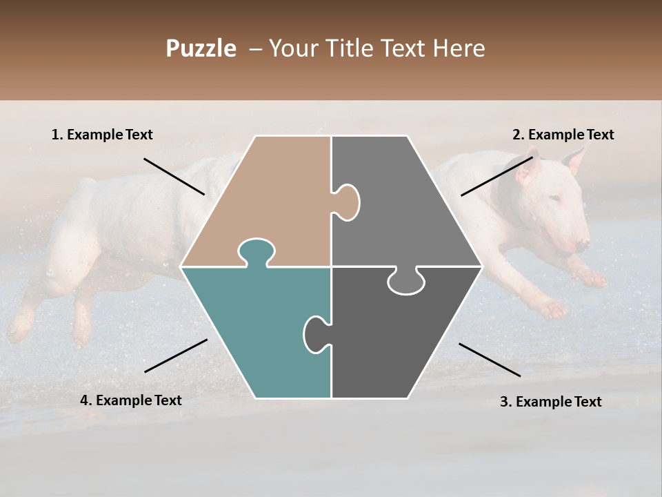 Life Sea Coast PowerPoint Template