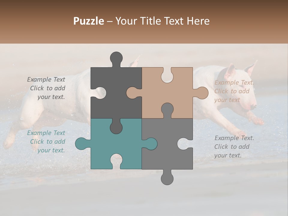 Life Sea Coast PowerPoint Template