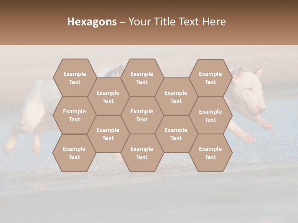 Life Sea Coast PowerPoint Template