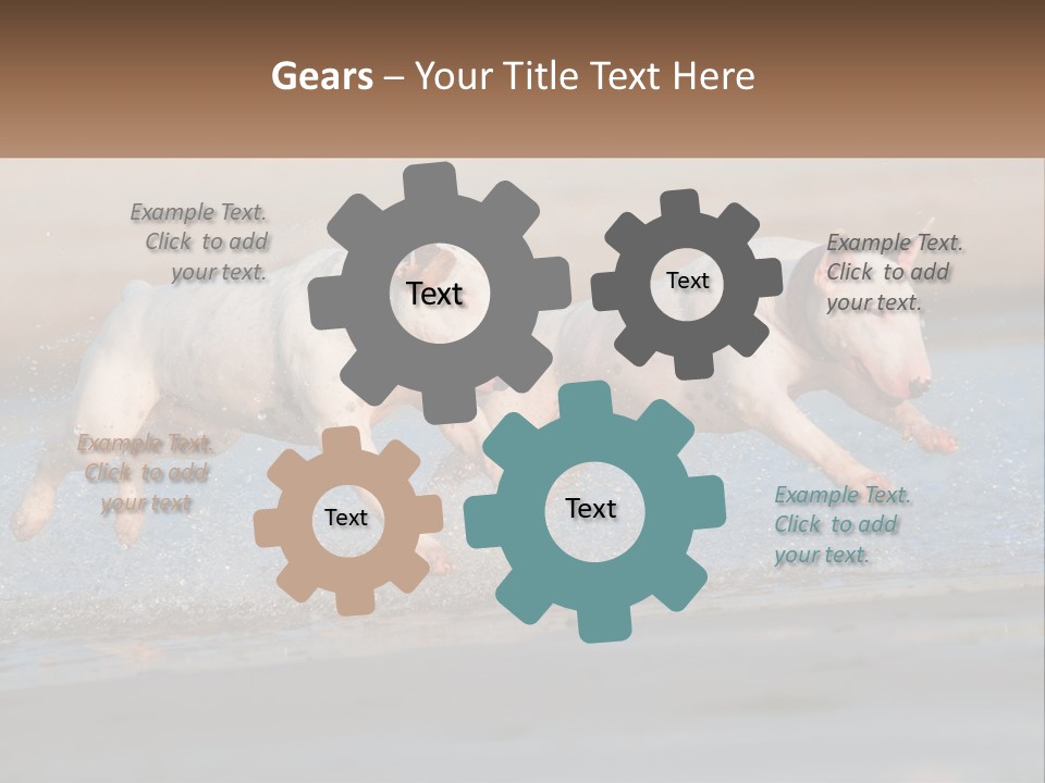 Life Sea Coast PowerPoint Template