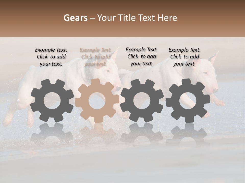 Life Sea Coast PowerPoint Template