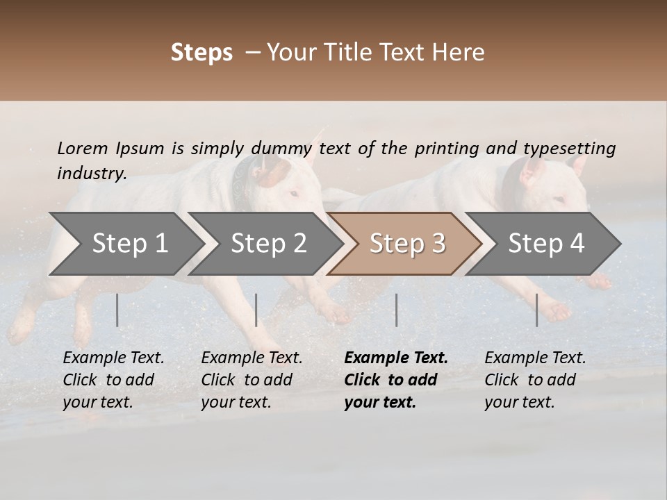 Life Sea Coast PowerPoint Template