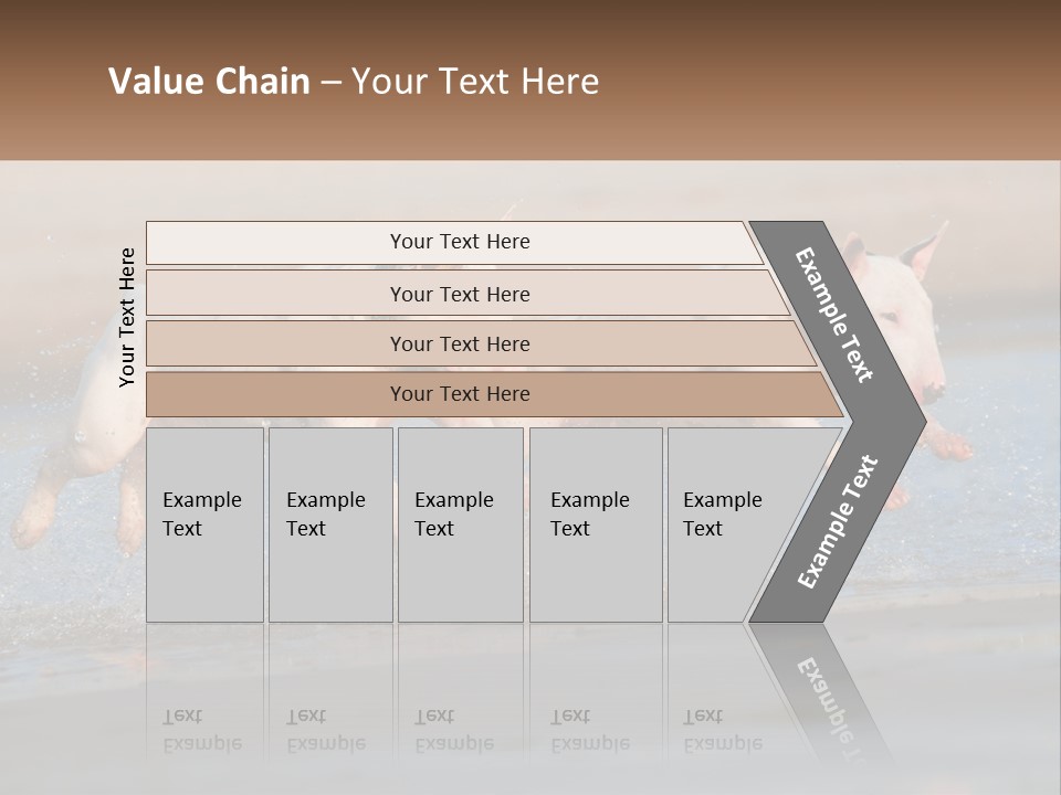 Life Sea Coast PowerPoint Template