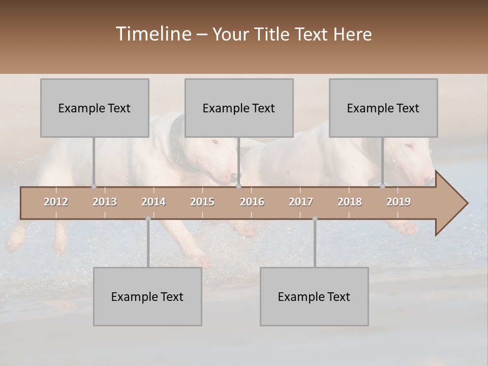Life Sea Coast PowerPoint Template