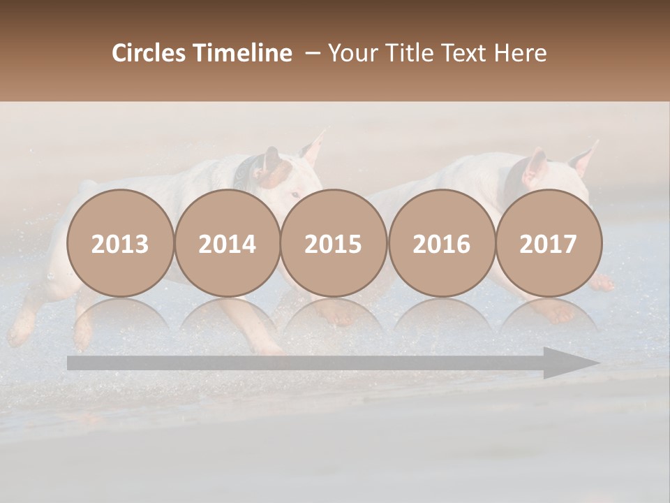 Life Sea Coast PowerPoint Template