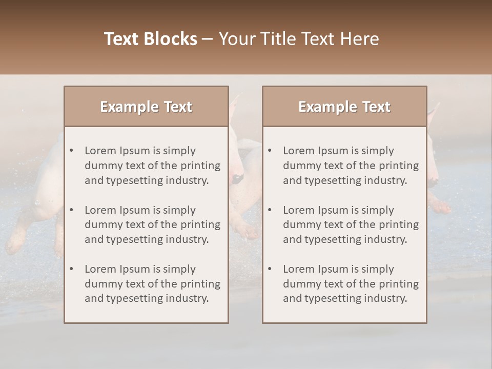 Life Sea Coast PowerPoint Template