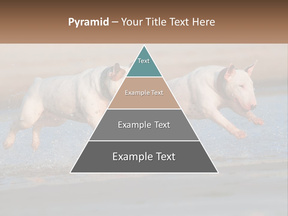 Life Sea Coast PowerPoint Template