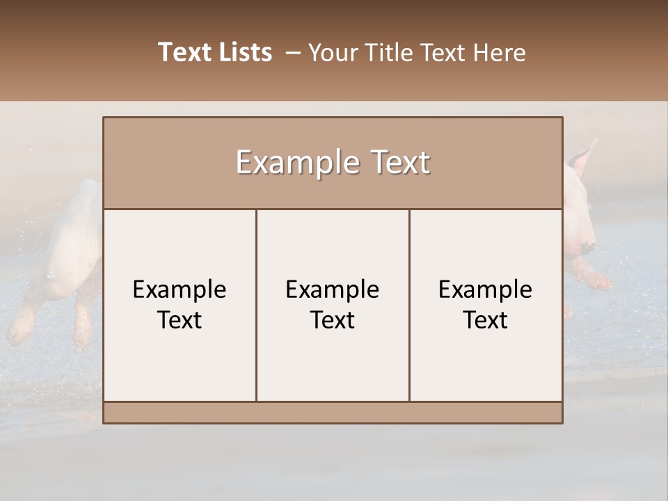 Life Sea Coast PowerPoint Template