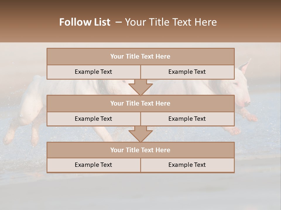 Life Sea Coast PowerPoint Template