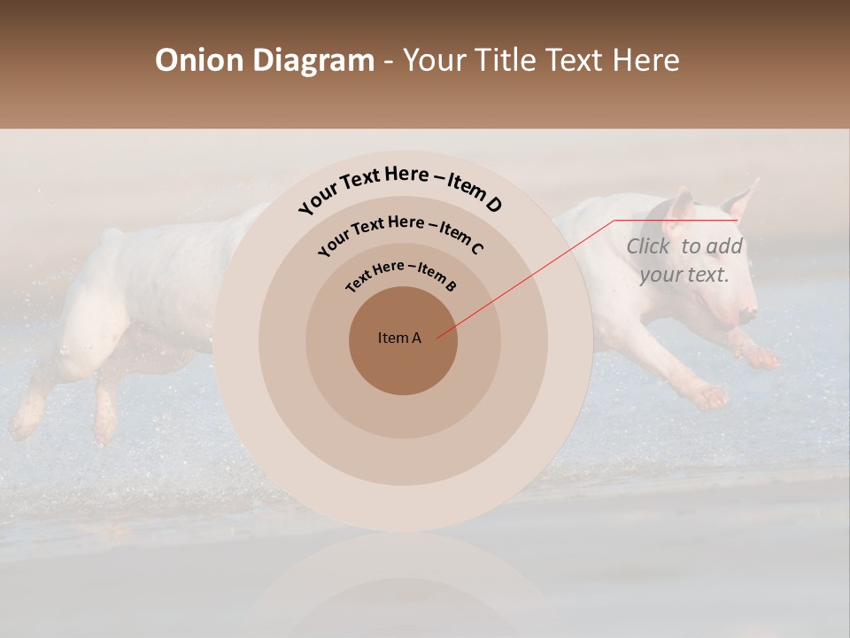 Life Sea Coast PowerPoint Template