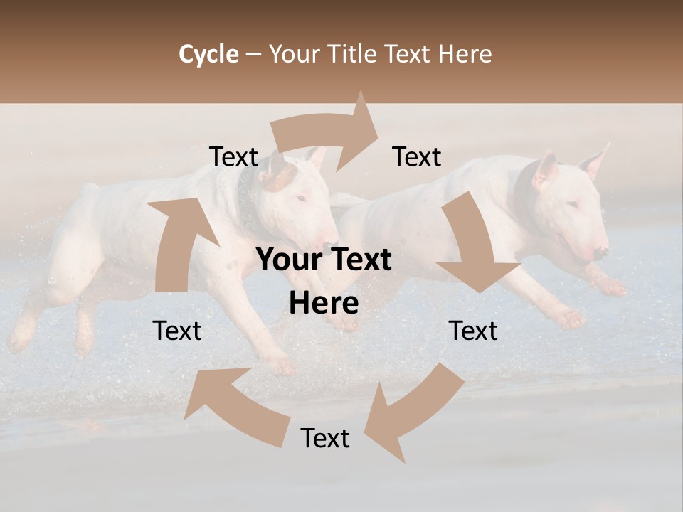 Life Sea Coast PowerPoint Template