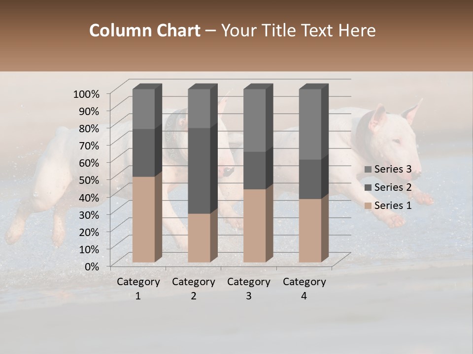 Life Sea Coast PowerPoint Template