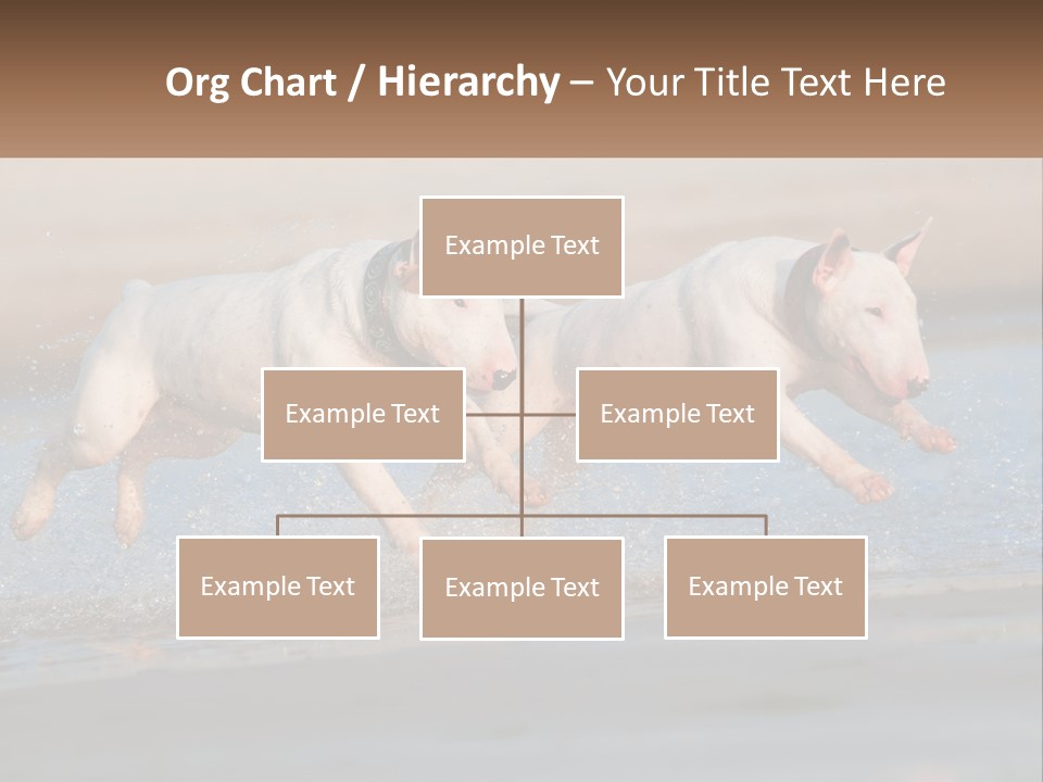 Life Sea Coast PowerPoint Template