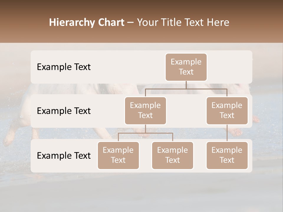 Life Sea Coast PowerPoint Template