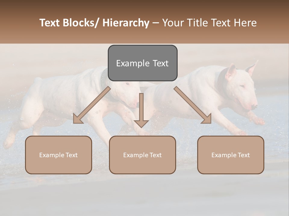 Life Sea Coast PowerPoint Template