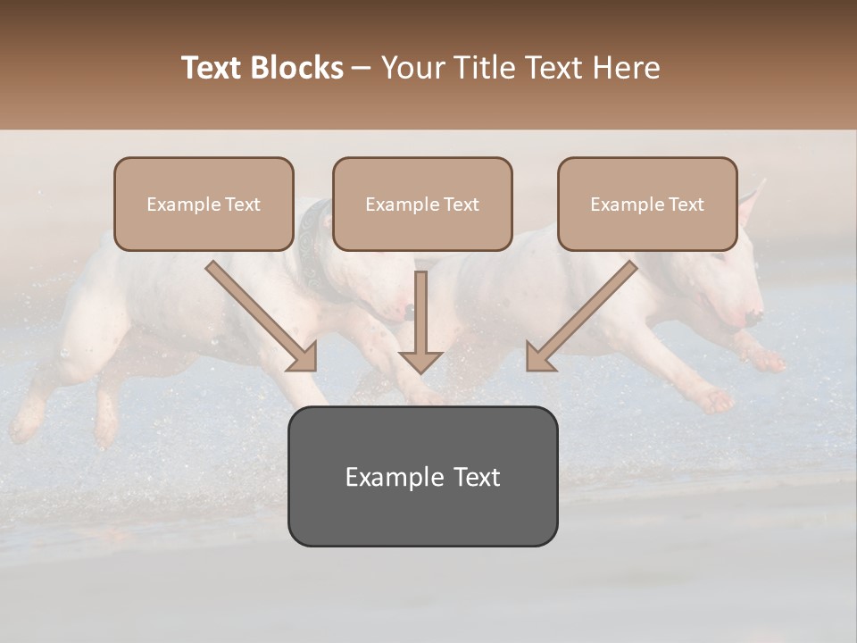 Life Sea Coast PowerPoint Template