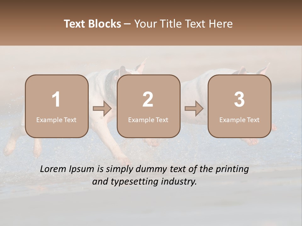 Life Sea Coast PowerPoint Template