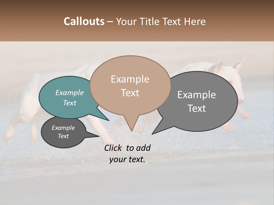 Life Sea Coast PowerPoint Template