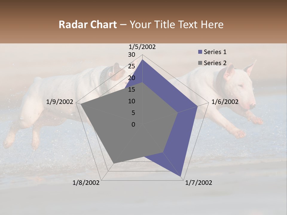 Life Sea Coast PowerPoint Template