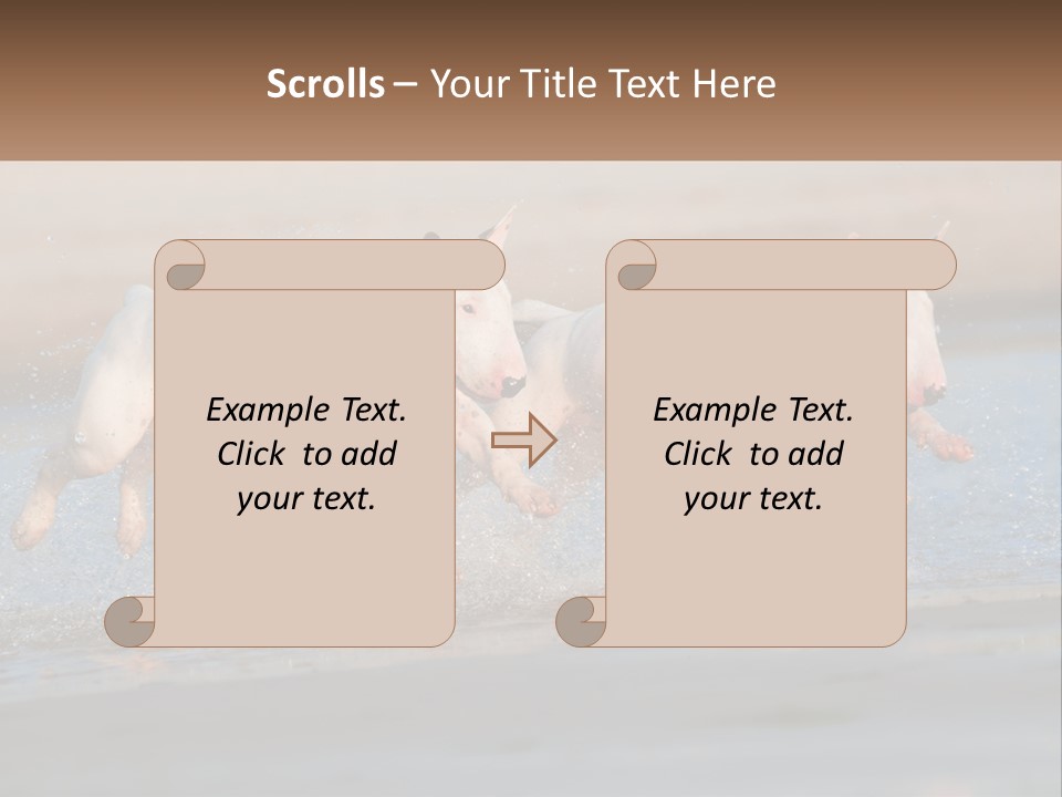 Life Sea Coast PowerPoint Template