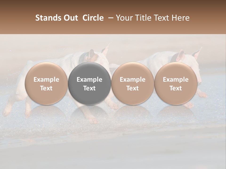 Life Sea Coast PowerPoint Template