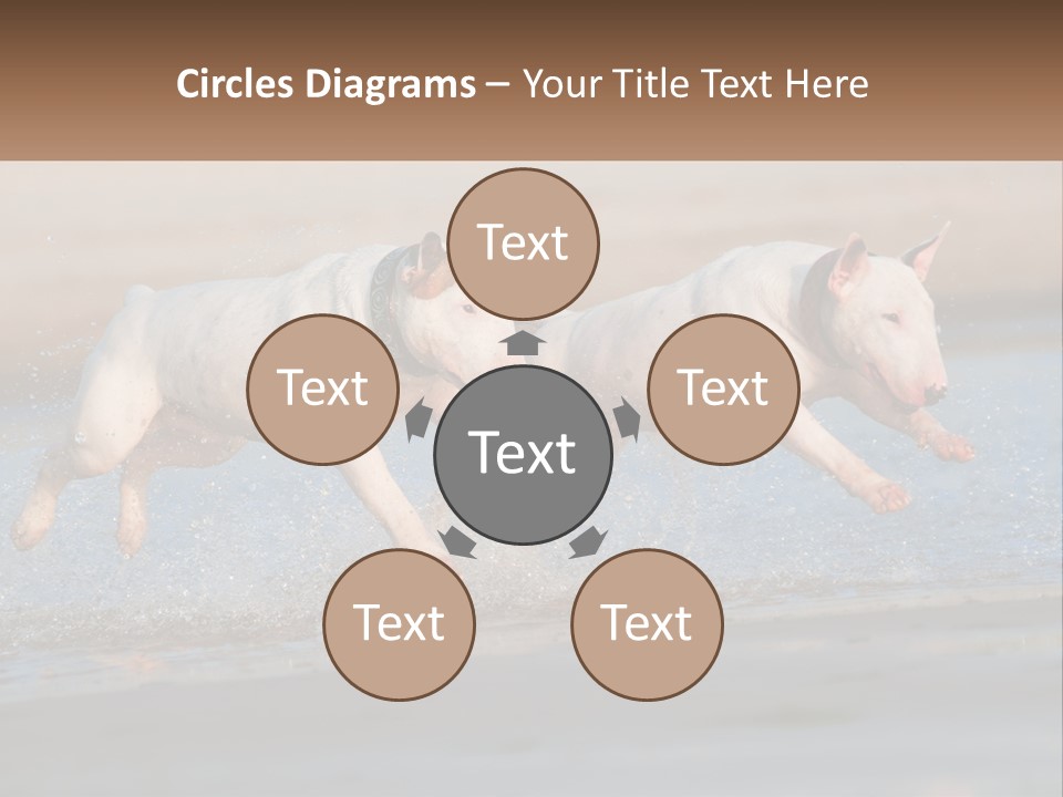 Life Sea Coast PowerPoint Template