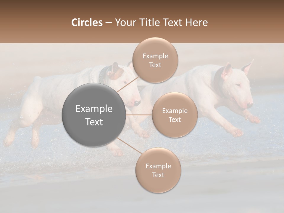 Life Sea Coast PowerPoint Template