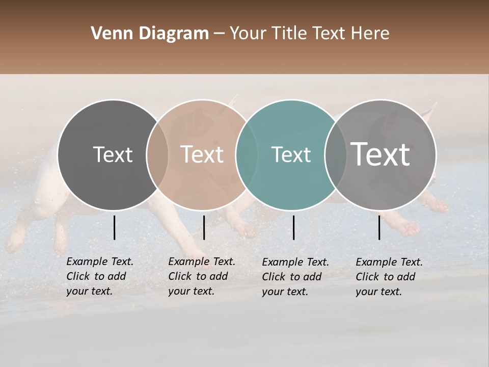 Life Sea Coast PowerPoint Template