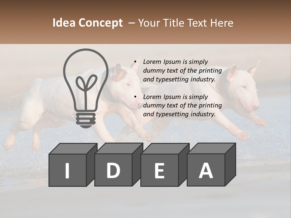 Life Sea Coast PowerPoint Template