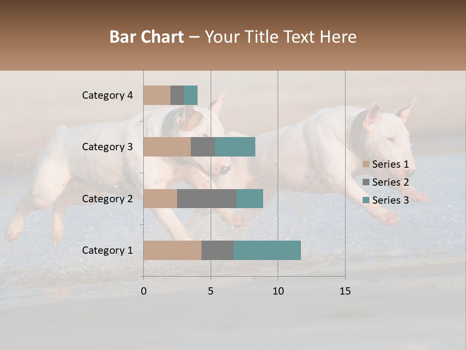 Life Sea Coast PowerPoint Template