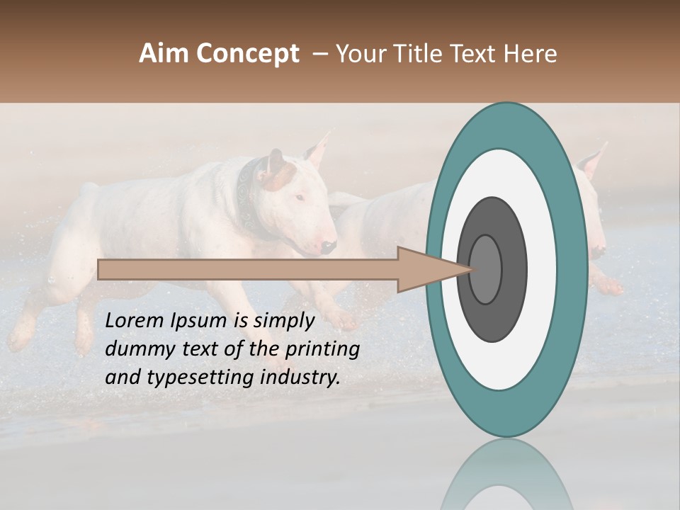 Life Sea Coast PowerPoint Template