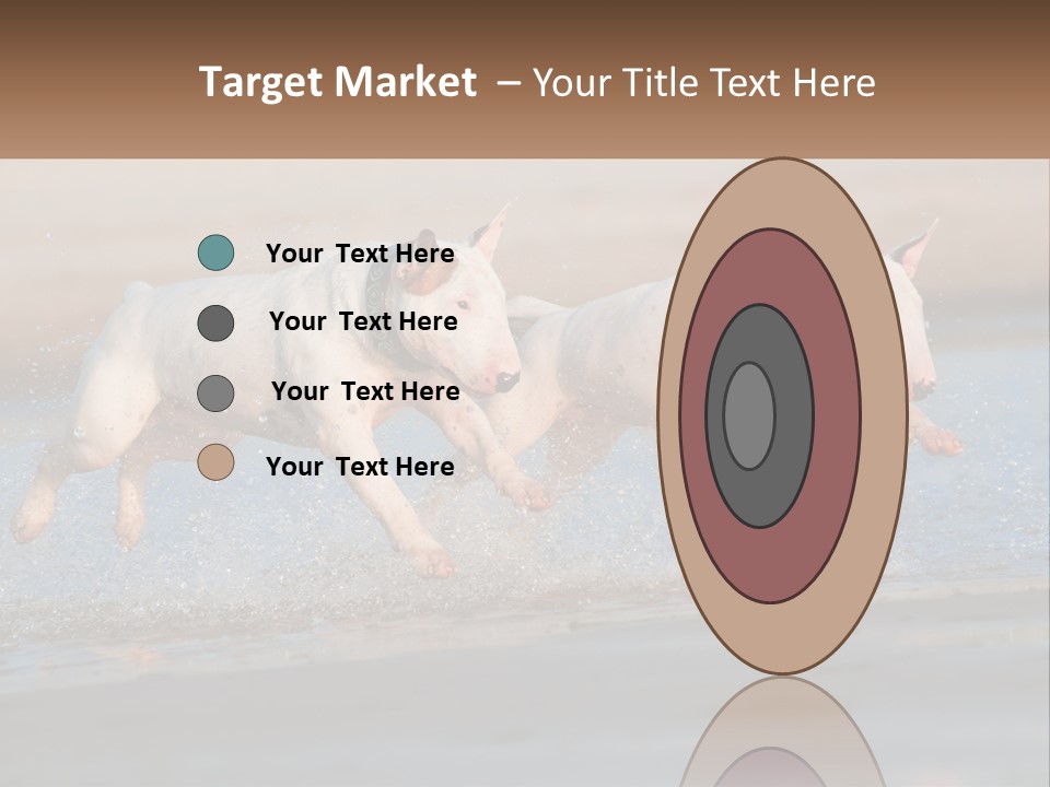 Life Sea Coast PowerPoint Template