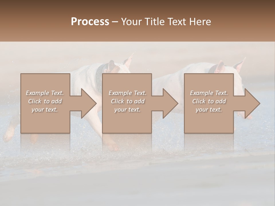 Life Sea Coast PowerPoint Template