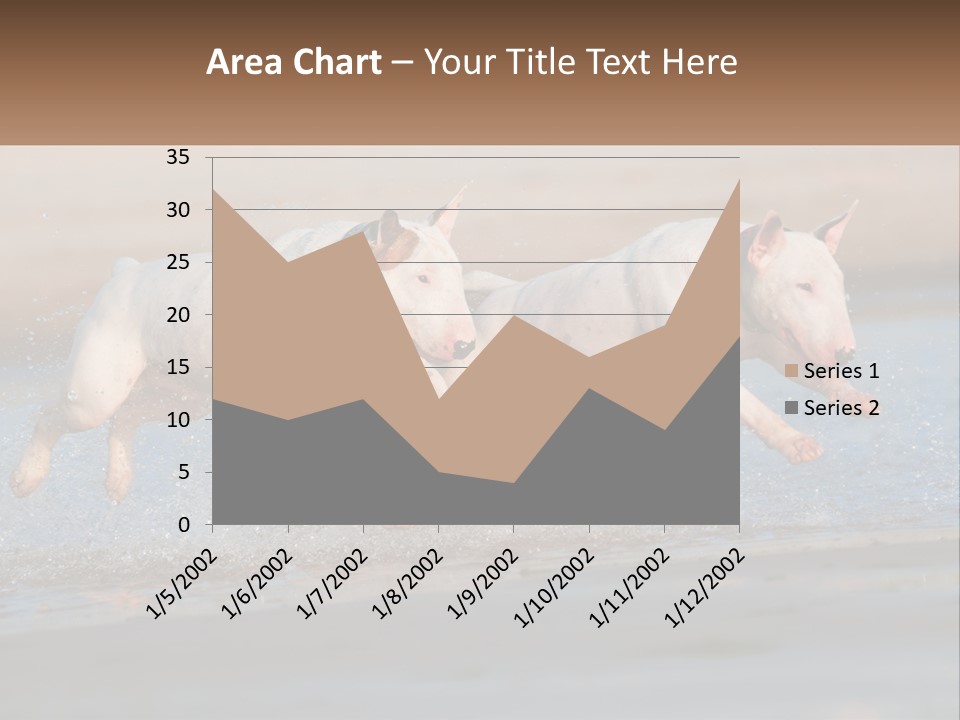 Life Sea Coast PowerPoint Template