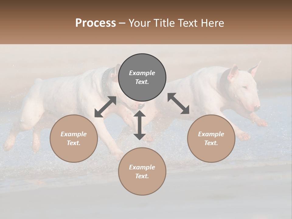 Life Sea Coast PowerPoint Template