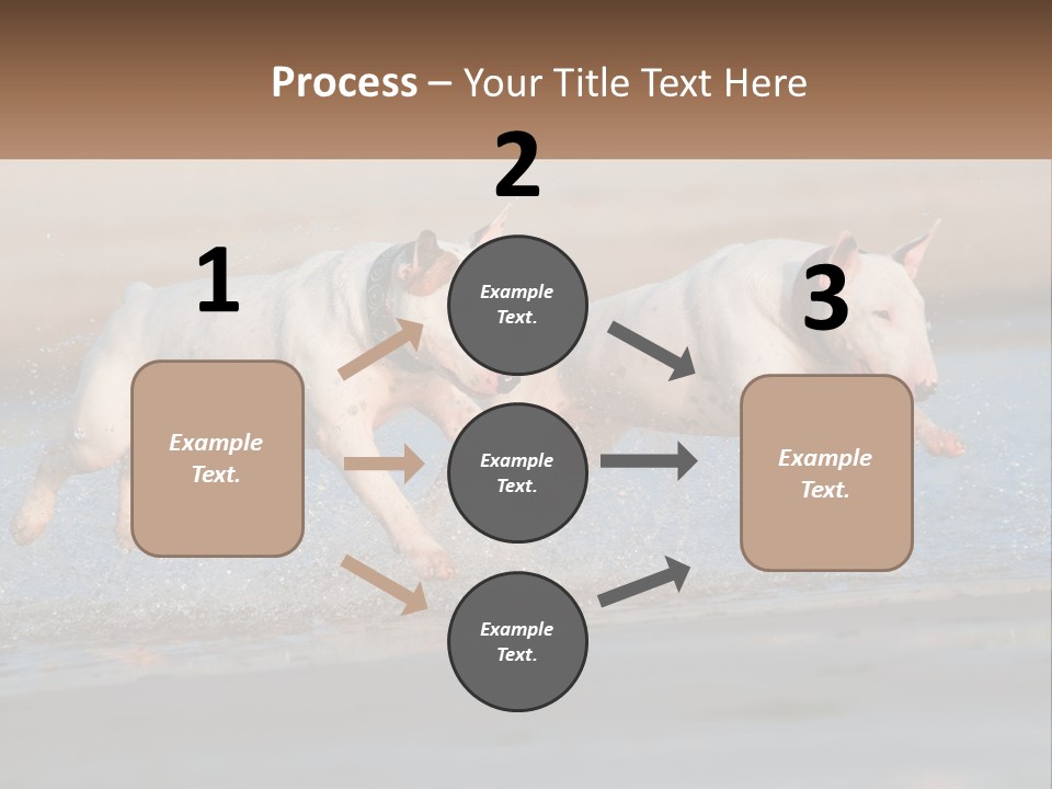 Life Sea Coast PowerPoint Template